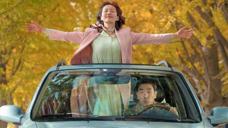 10 Phim Hàn Quốc Phim Lẻ Gây Bão - Xem Ngay Trên MyTV Để Không Bỏ Lỡ Cảm Xúc Đỉnh Cao